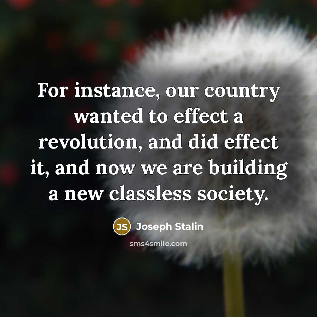 “For instance, our country wanted to effect a revolution, and…” quote by Joseph Stalin