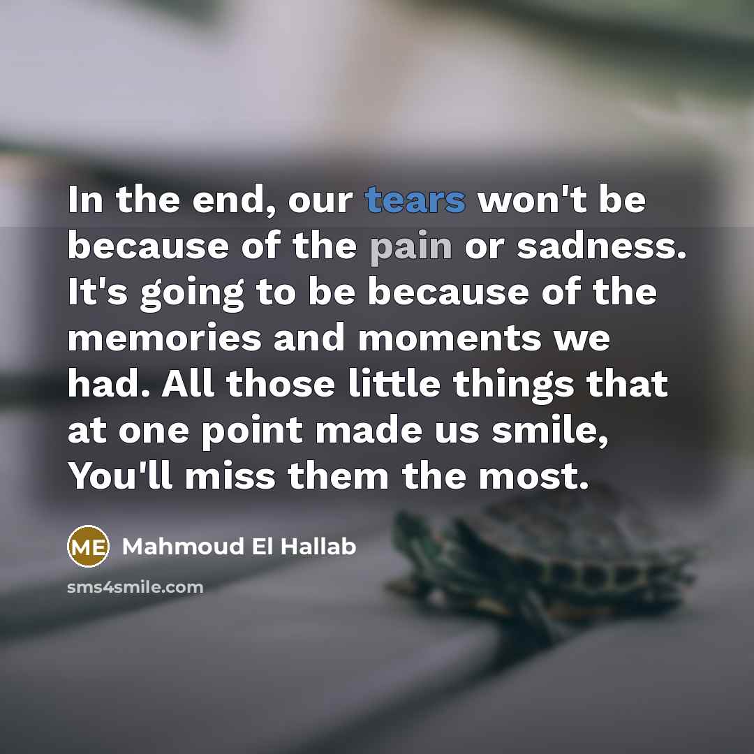 “In the end, our tears won't be because of the…” quote by Mahmoud El Hallab