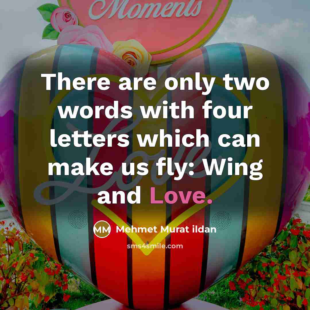 “There are only two words with four letters which can…” quote by Mehmet Murat Ildan