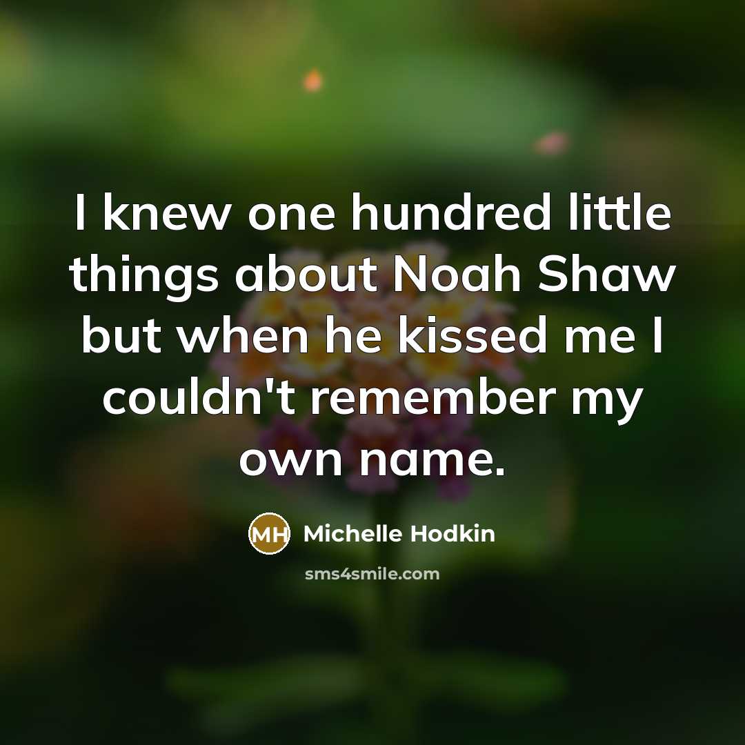 “I knew one hundred little things about Noah Shaw but…” quote by Michelle Hodkin