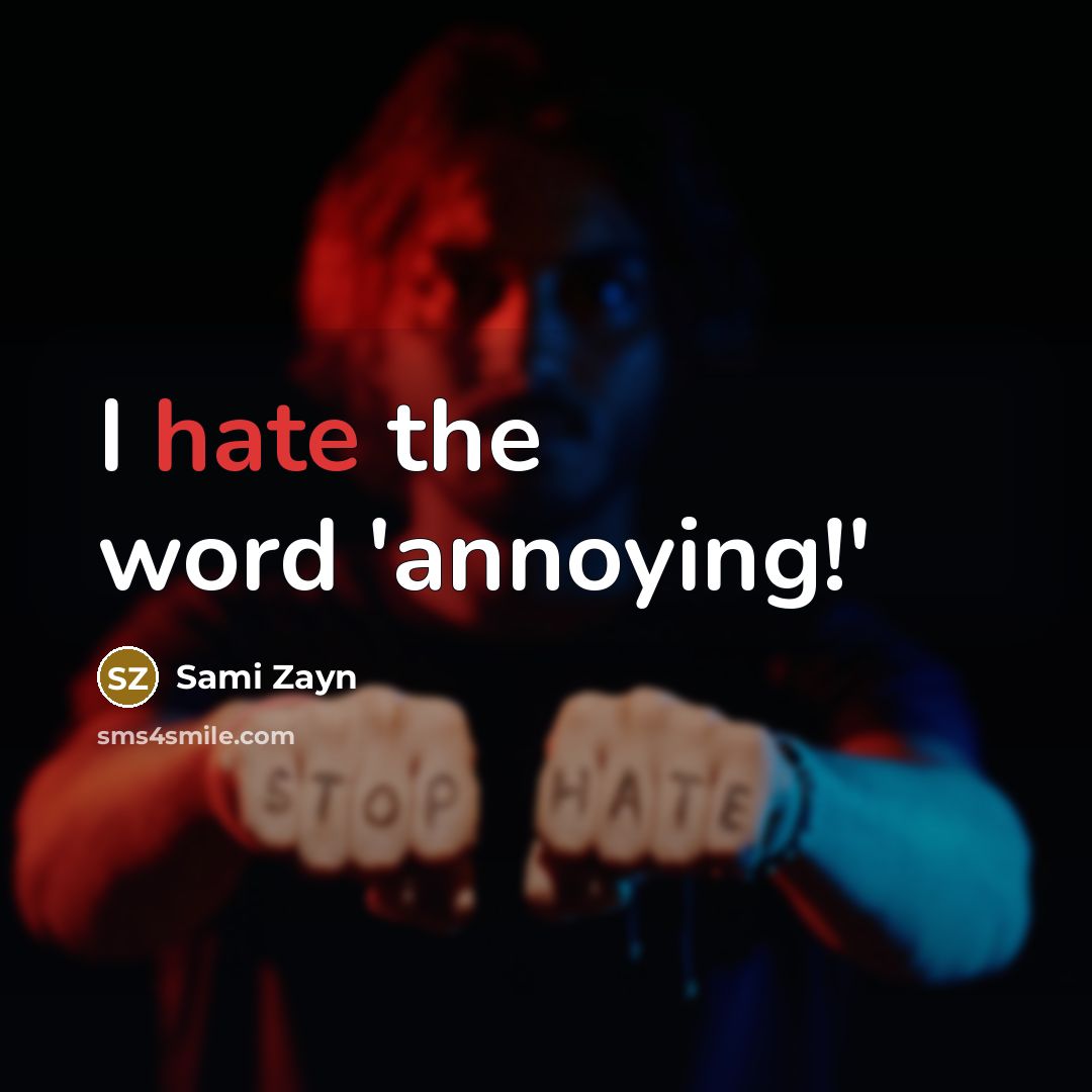 “I hate the word 'annoying!'…” quote by Sami Zayn