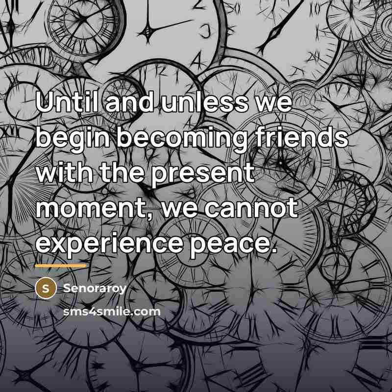 “Until and unless we begin becoming friends with the present…” quote by Senoraroy