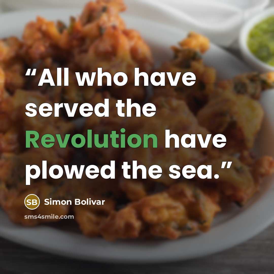 “All who have served the Revolution have plowed the sea.” quote by Simon Bolivar