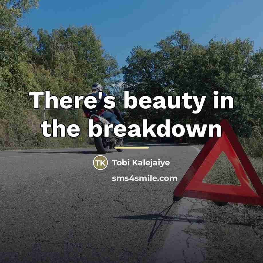 “There's beauty in the breakdown…” quote by Tobi Kalejaiye