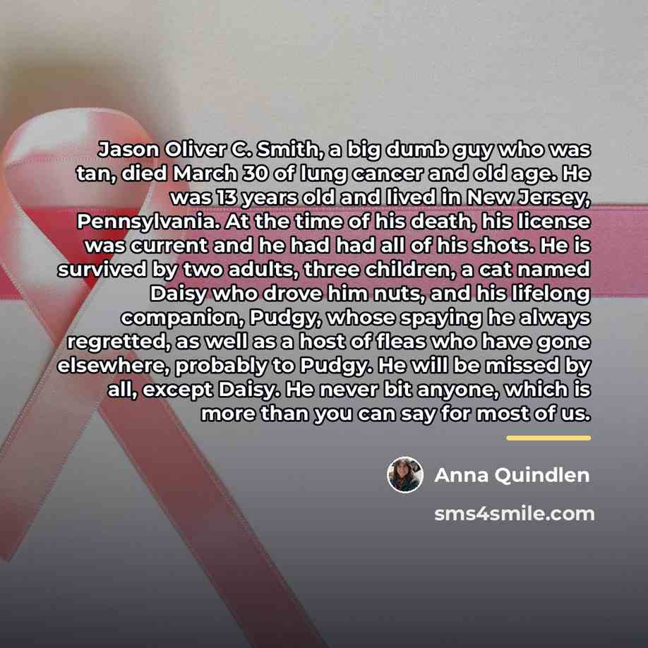 “Jason Oliver C. Smith, a big dumb guy who was…” quote by Anna Quindlen