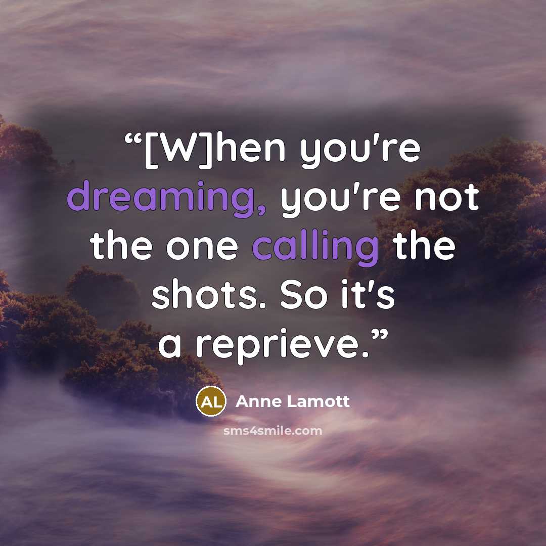 “[W]hen you're dreaming, you're not the one calling the shots. So it's a reprieve.” quote by Anne Lamott