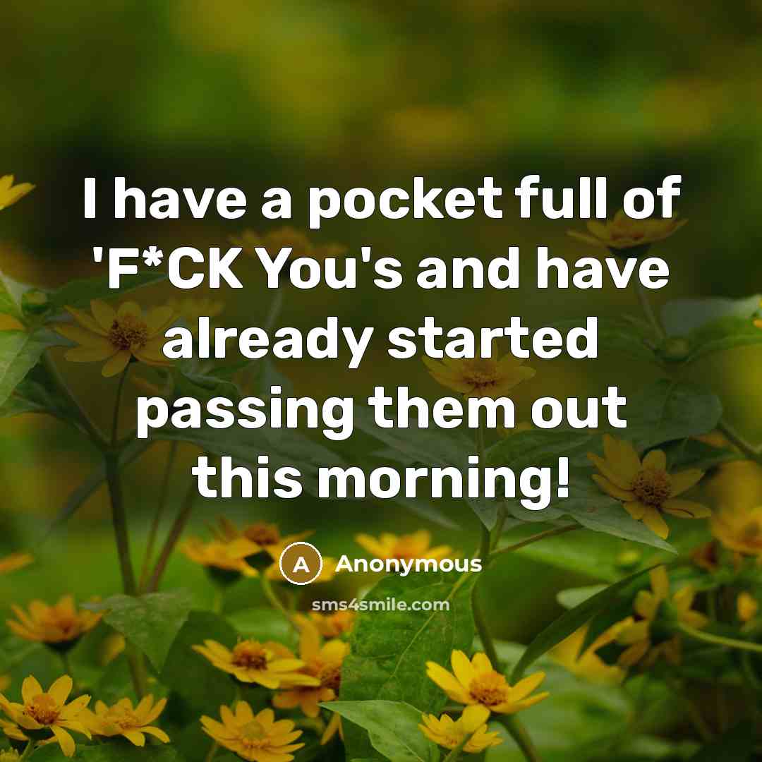 “I have a pocket full of 'F*CK You's and have…” quote by Anonymous