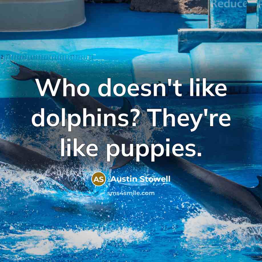 “Who doesn't like dolphins? They're like puppies.…” quote by Austin Stowell
