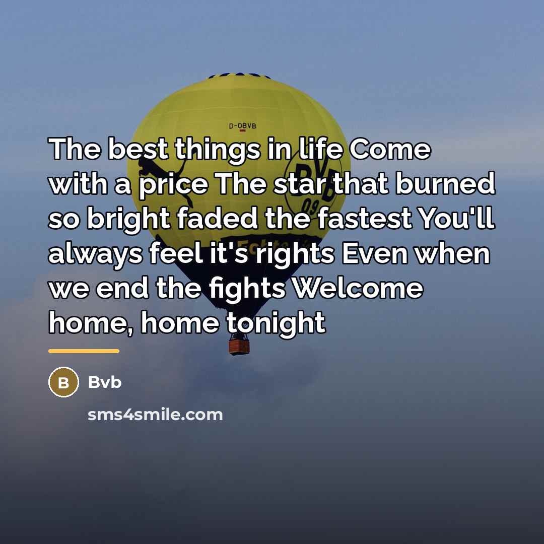 “The best things in life Come with a price The…” quote by BvB