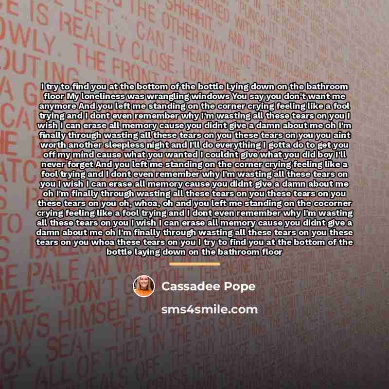 “I try to find you at the bottom of the…” quote by Cassadee Pope