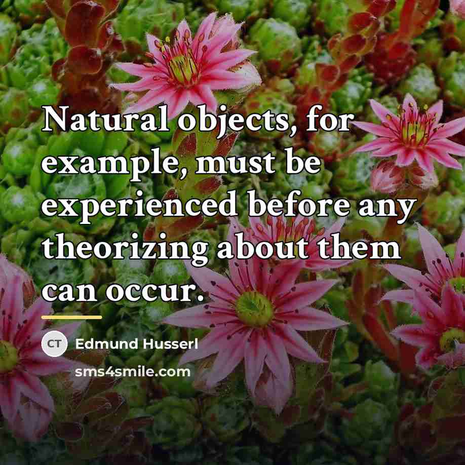 “Natural objects, for example, must be experienced before any theorizing…” quote by Edmund Husserl