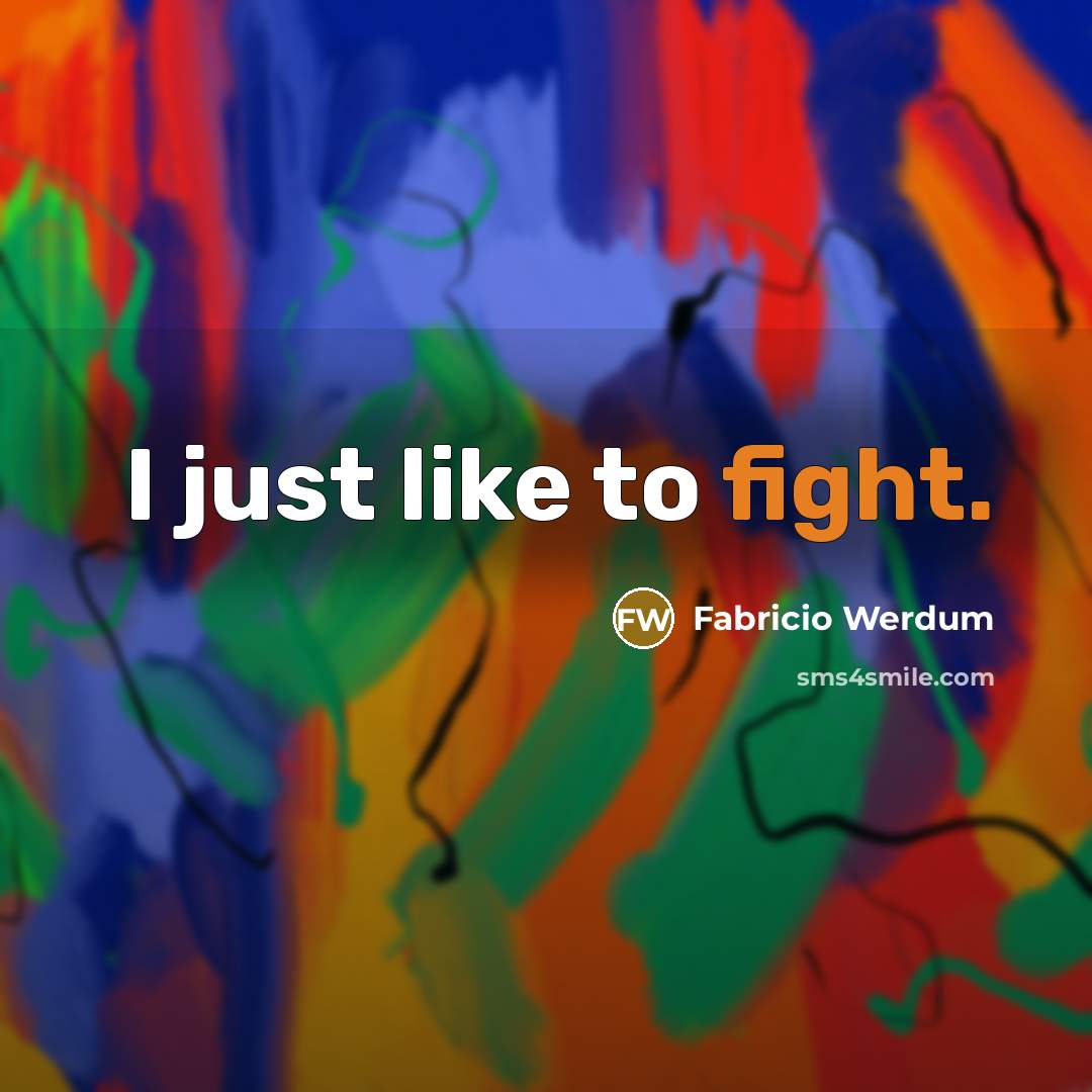 “I just like to fight.…” quote by Fabricio Werdum