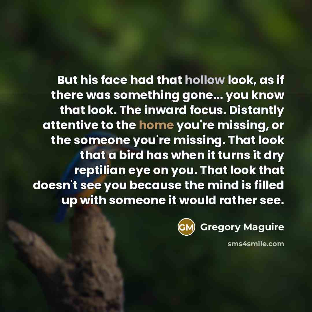 “But his face had that hollow look, as if there…” quote by Gregory Maguire