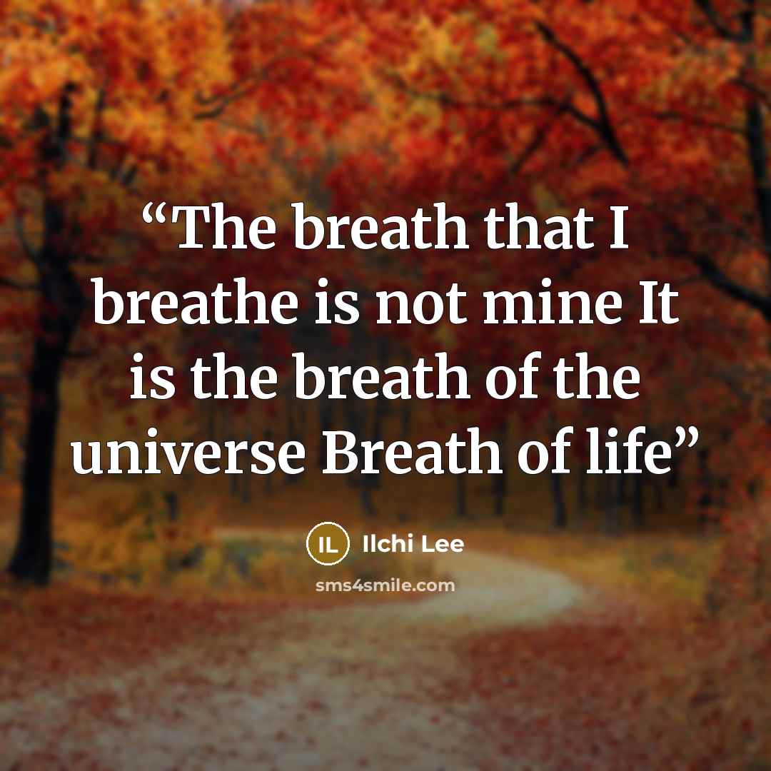 “The breath that I breathe is not mine It is the breath of the universe Breath of life” quote by Ilchi Lee
