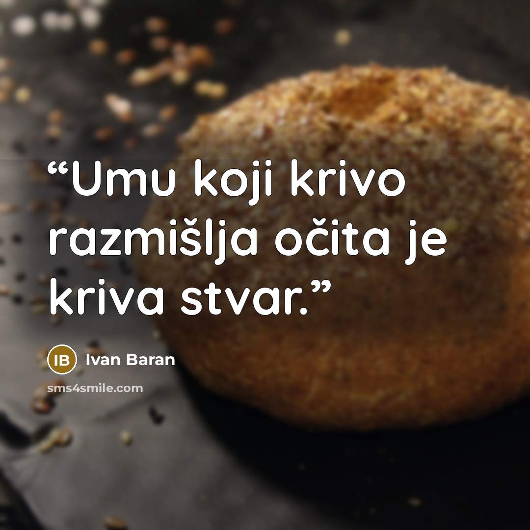 “Umu koji krivo razmišlja očita je kriva stvar.” quote by Ivan Baran