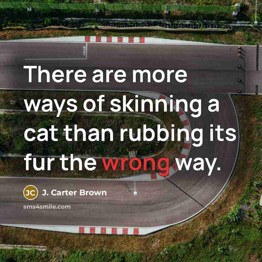 “There are more ways of skinning a cat than rubbing…” quote by J. Carter Brown