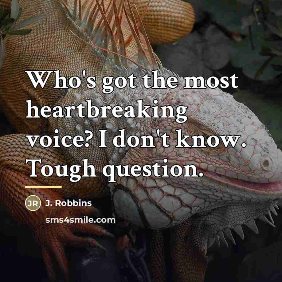 “Who's got the most heartbreaking voice? I don't know. Tough…” quote by J. Robbins