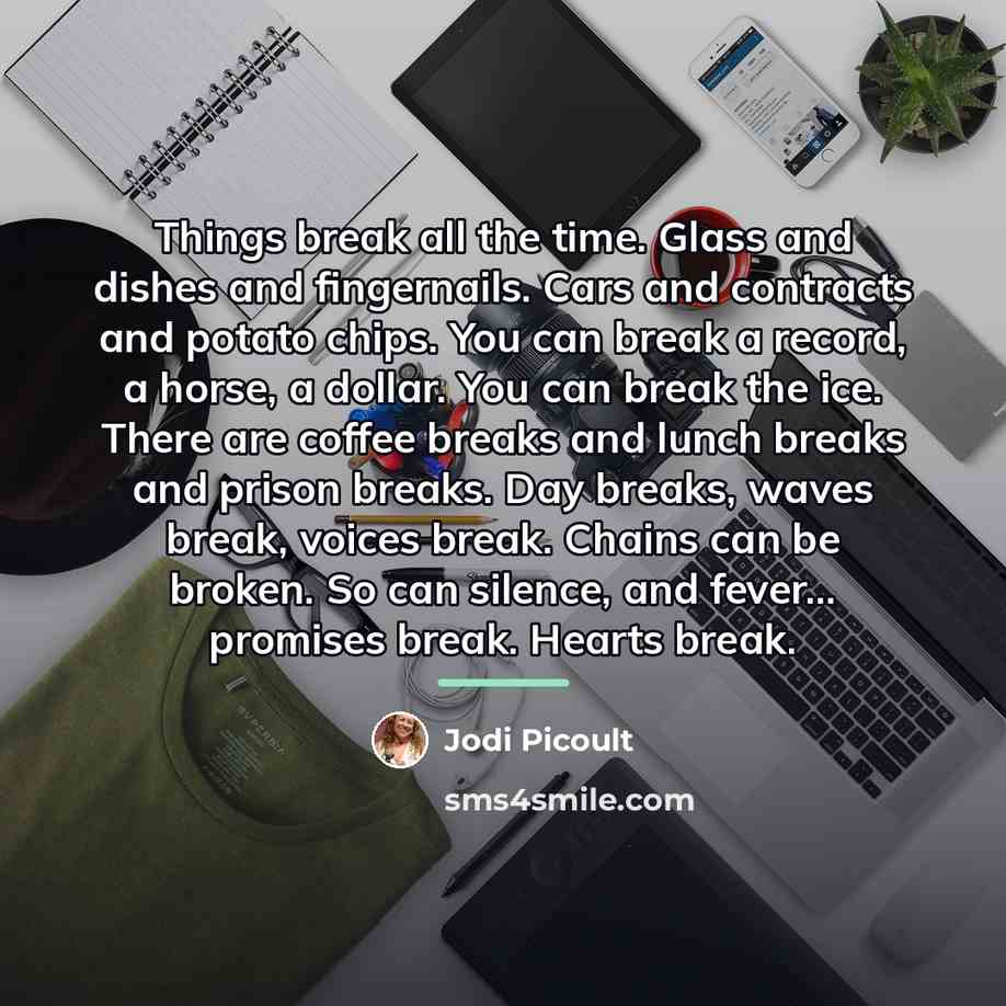 “Things break all the time. Glass and dishes and fingernails.…” quote by Jodi Picoult