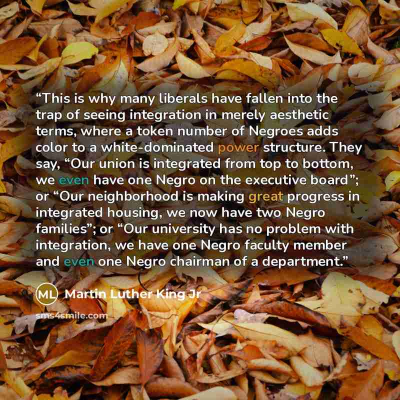 “This is why many liberals have fallen into the trap of seeing integration in merely aesthetic terms, where a token number of Negroes adds color to a white-dominated power structure. They say, “Our union is integrated from top to bottom, we even have one Negro on the executive board”; or “Our…” quote by Martin Luther King Jr