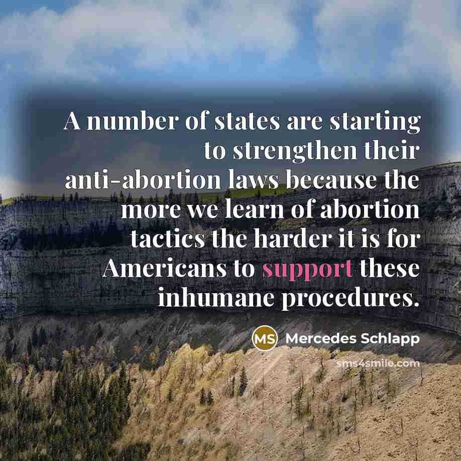 “A number of states are starting to strengthen their anti-abortion…” quote by Mercedes Schlapp