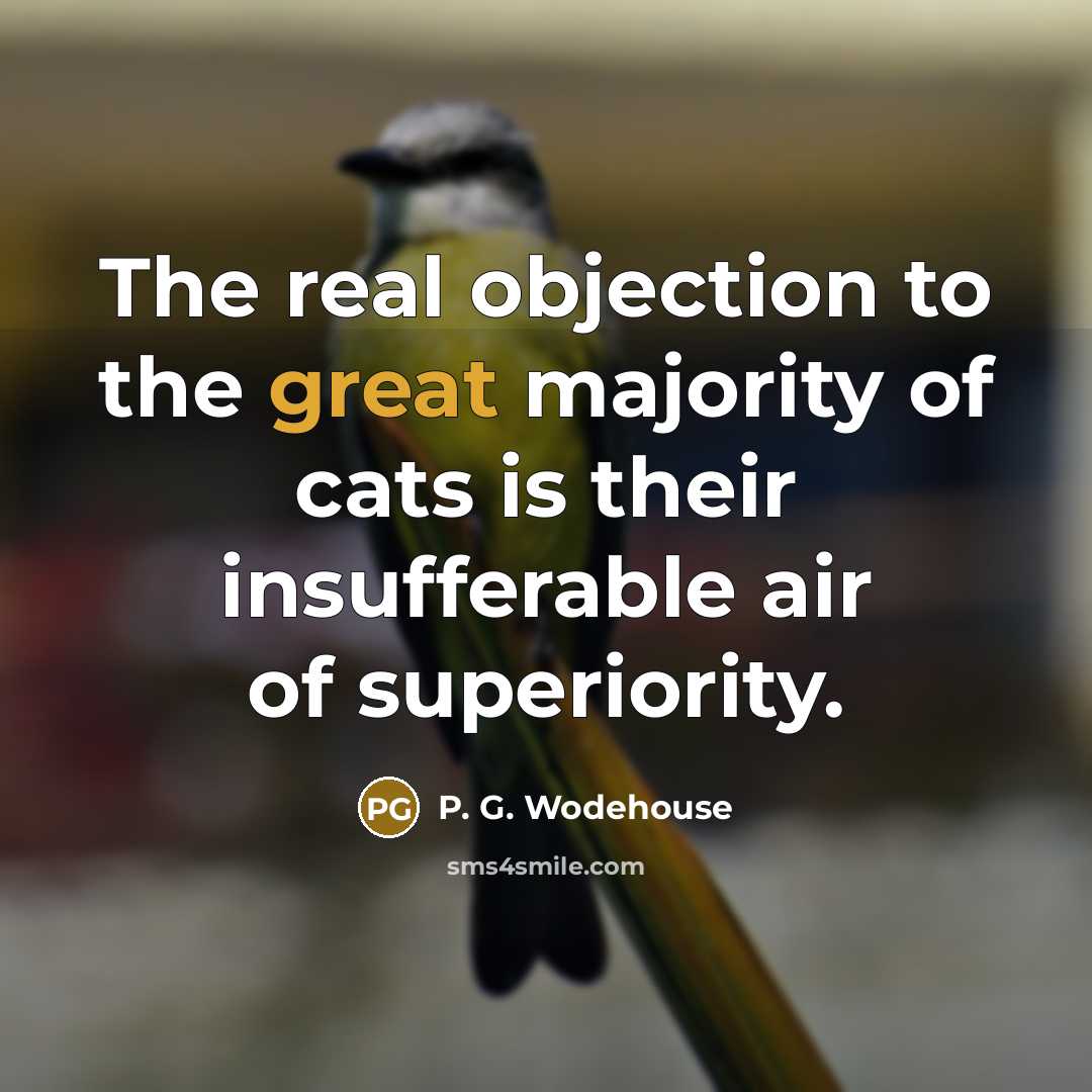 “The real objection to the great majority of cats is…” quote by P. G. Wodehouse