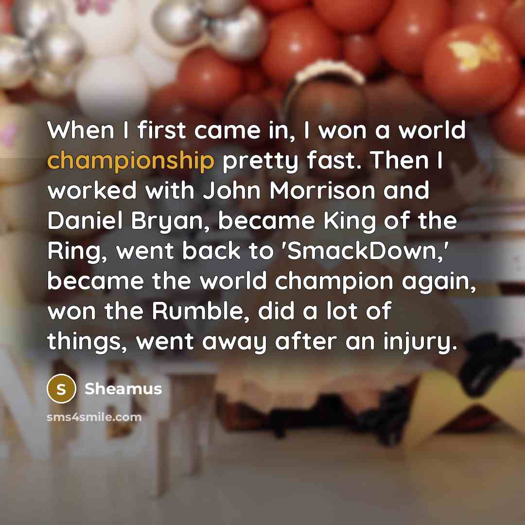 “When I first came in, I won a world championship…” quote by Sheamus