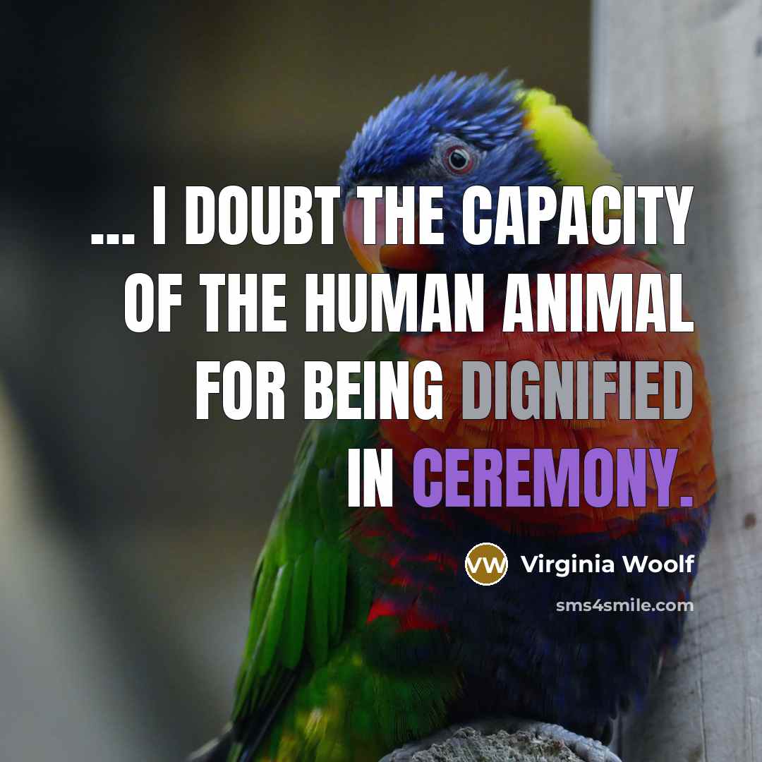 “... I doubt the capacity of the human animal for…” quote by Virginia Woolf
