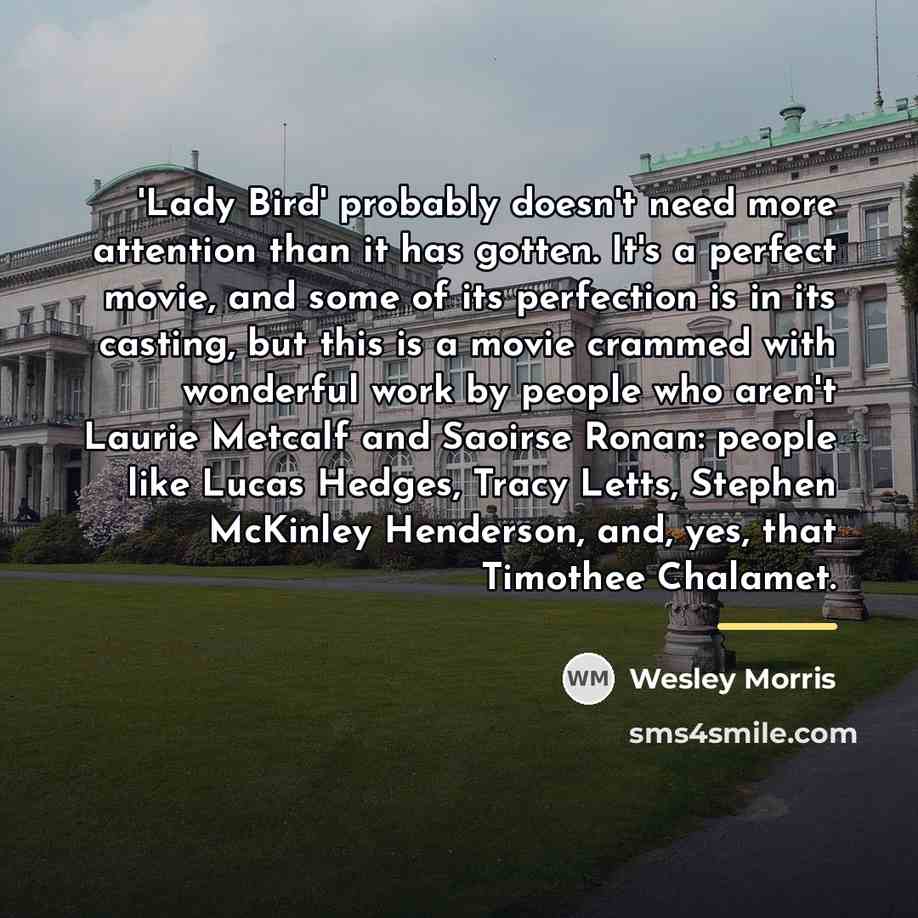 “'Lady Bird' probably doesn't need more attention than it has…” quote by Wesley Morris