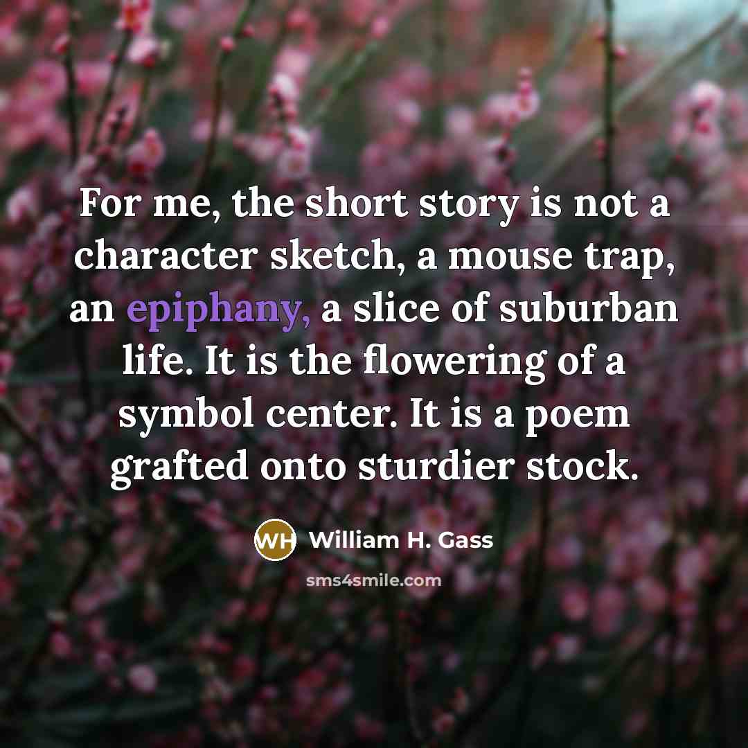 “For me, the short story is not a character sketch,…” quote by William H. Gass