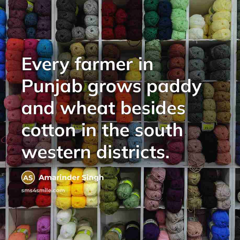 “Every farmer in Punjab grows paddy and wheat besides cotton…” quote by Amarinder Singh
