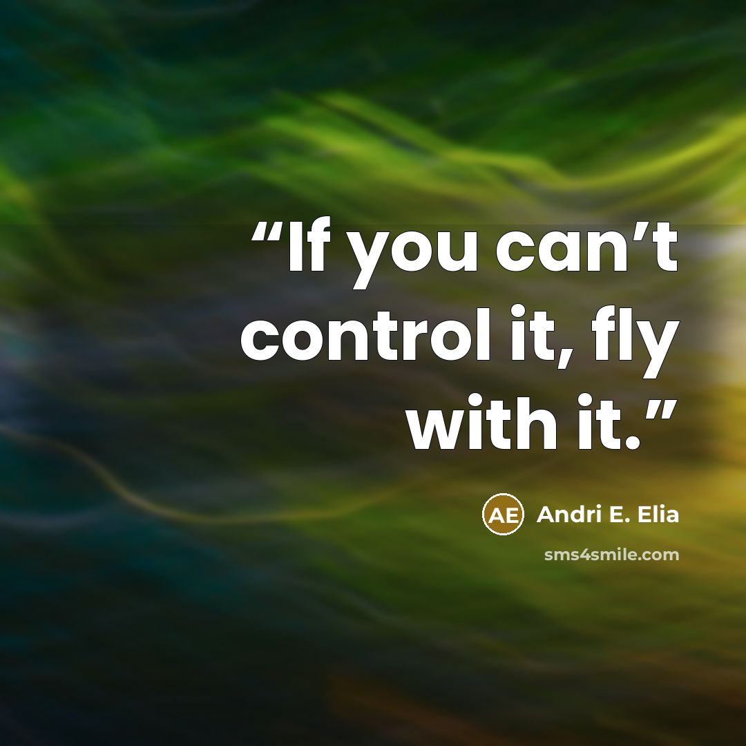 “If you can’t control it, fly with it.” quote by Andri E. Elia