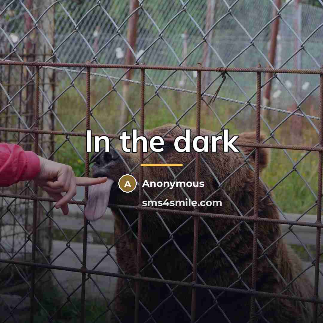 “In the dark…” quote by Anonymous