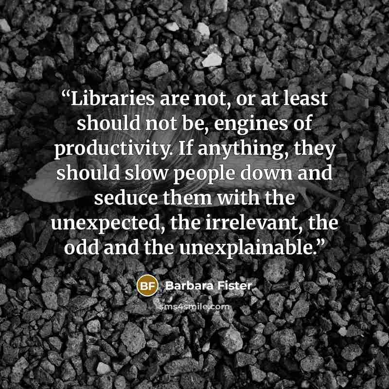 “Libraries are not, or at least should not be, engines of productivity. If anything, they should slow people down and seduce them with the unexpected, the irrelevant, the odd and the unexplainable.” quote by Barbara Fister