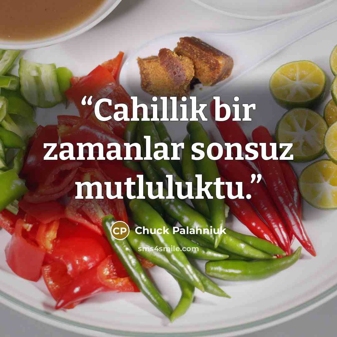 “Cahillik bir zamanlar sonsuz mutluluktu.” quote by Chuck Palahniuk