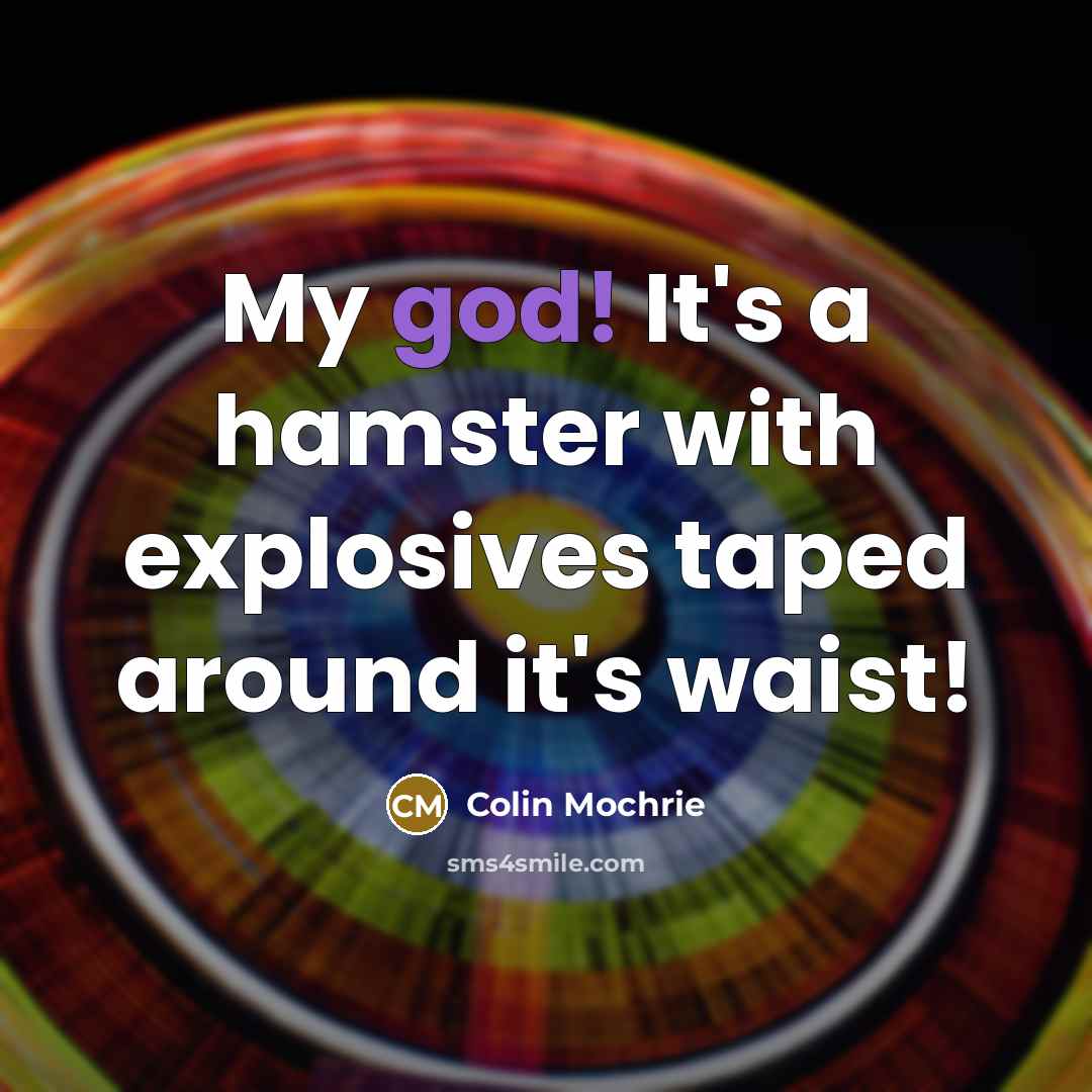 “My god! It's a hamster with explosives taped around it's…” quote by Colin Mochrie