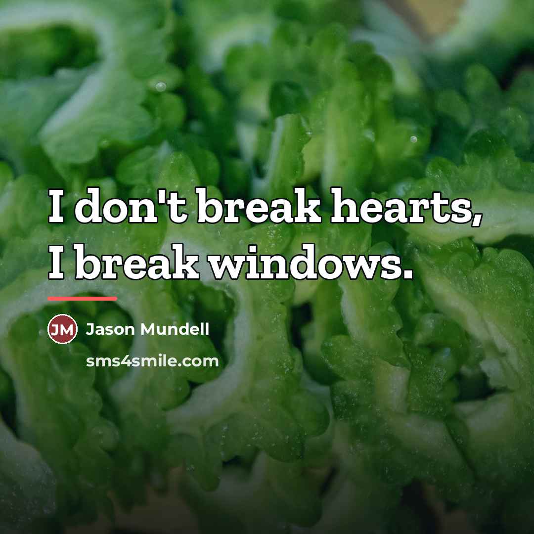 “I don't break hearts, I break windows.…” quote by Jason Mundell