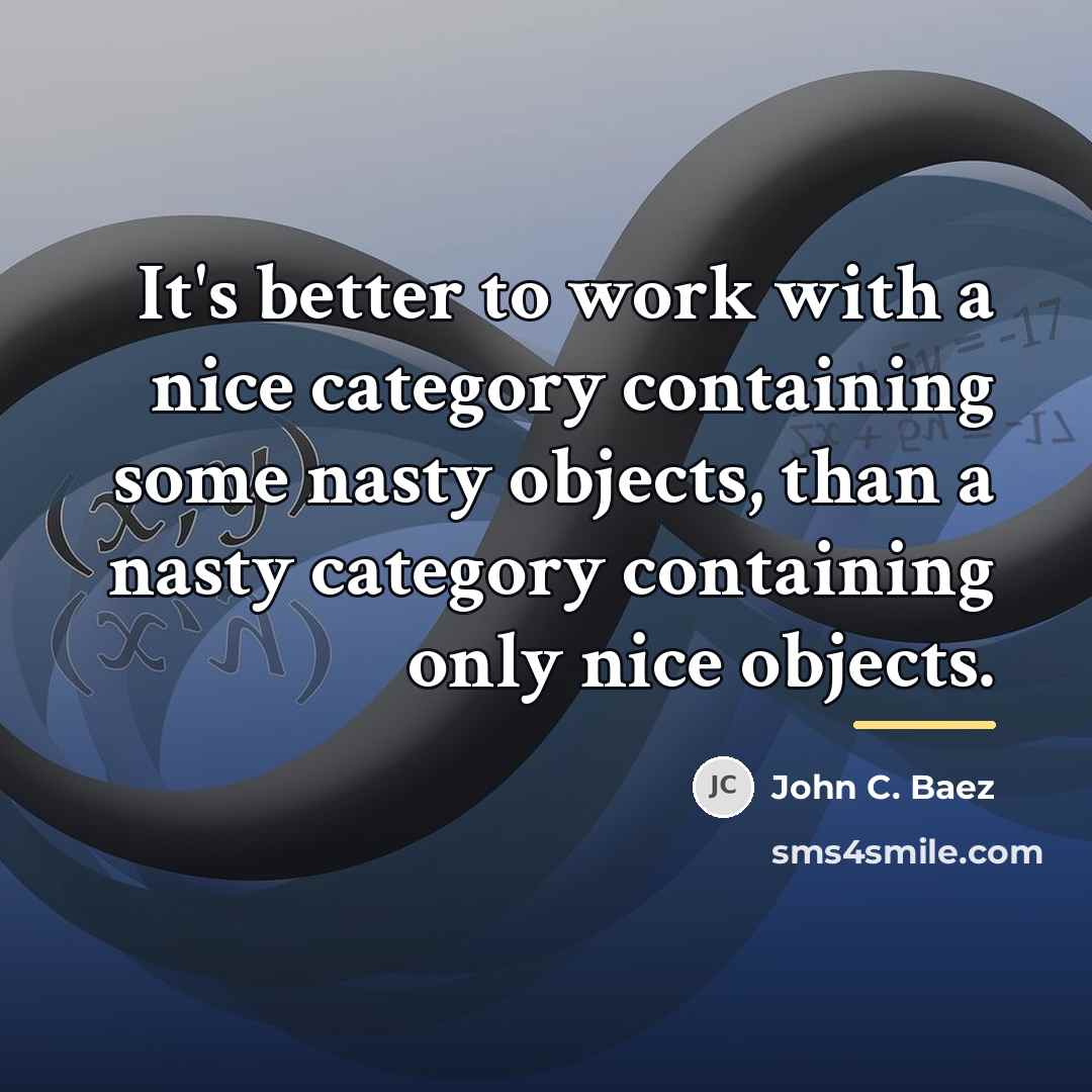 “It's better to work with a nice category containing some…” quote by John C. Baez