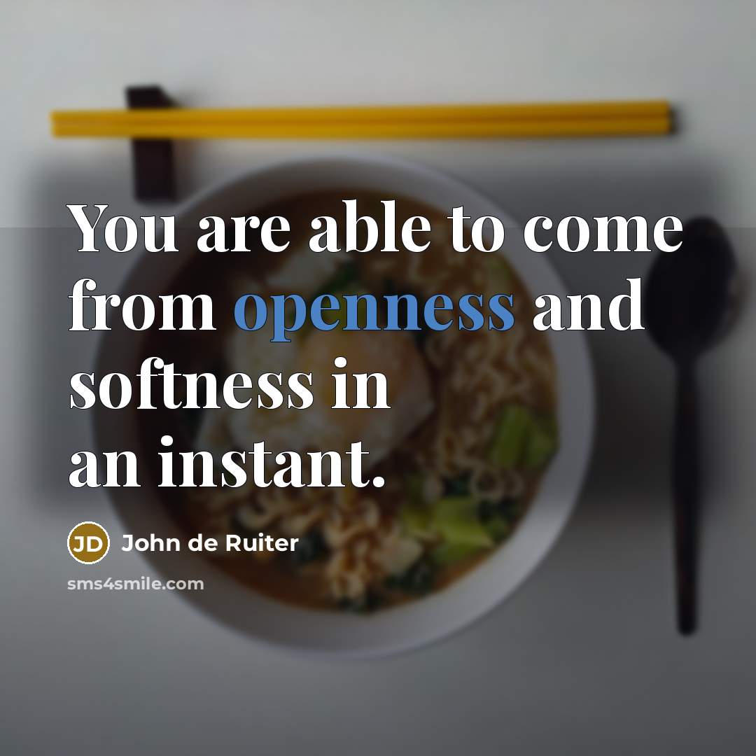 “You are able to come from openness and softness in…” quote by John de Ruiter