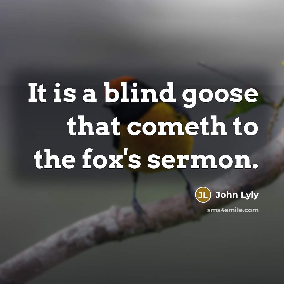 “It is a blind goose that cometh to the fox's…” quote by John Lyly