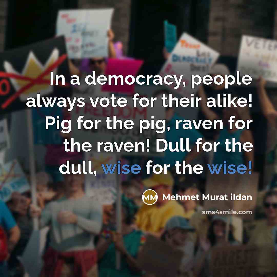 “In a democracy, people always vote for their alike! Pig…” quote by Mehmet Murat Ildan