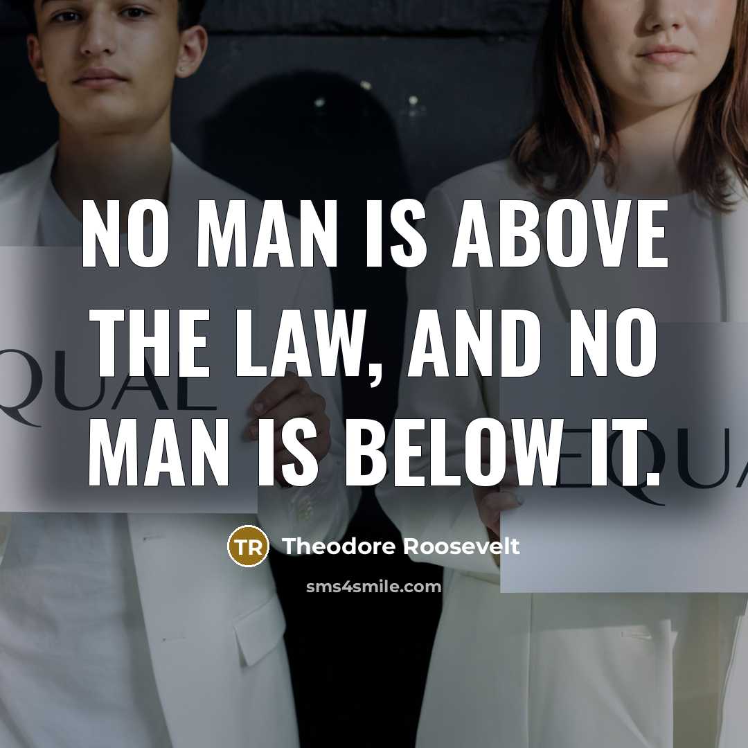 “No man is above the law, and no man is…” quote by Theodore Roosevelt