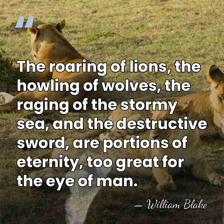 The roaring of lions, the howling of wolves, the raging of the&hellip; - William Blake