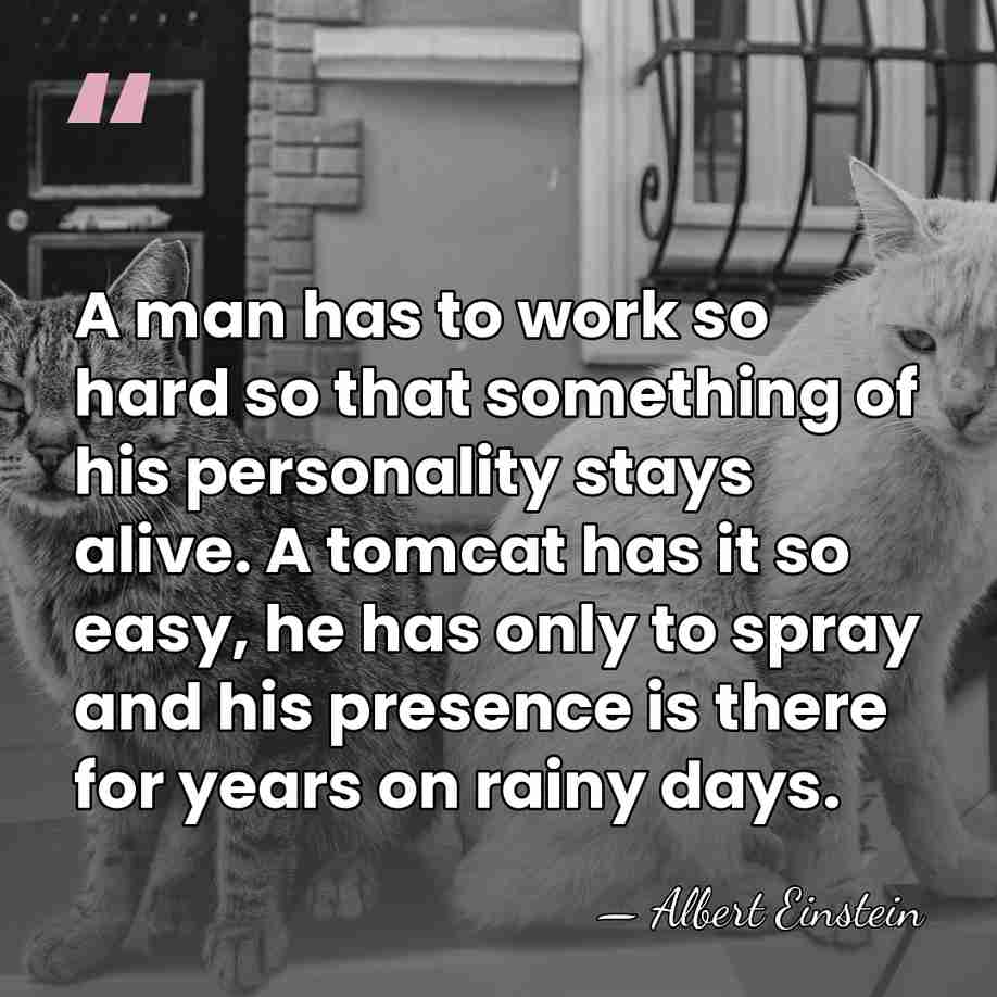 A man has to work so hard so that something of his&hellip; - Albert Einstein
