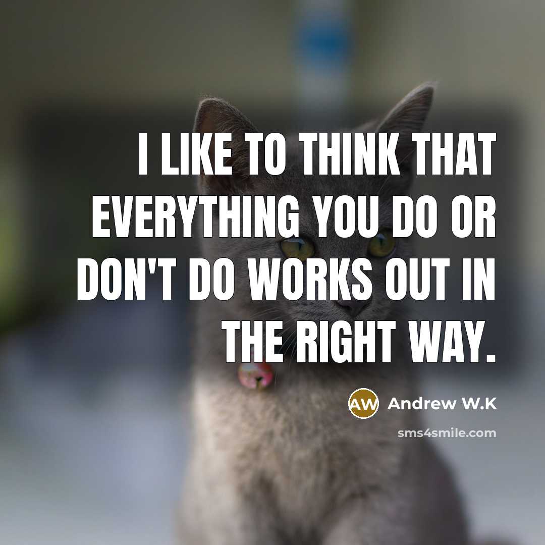 “I like to think that everything you do or don't…” quote by Andrew W.K