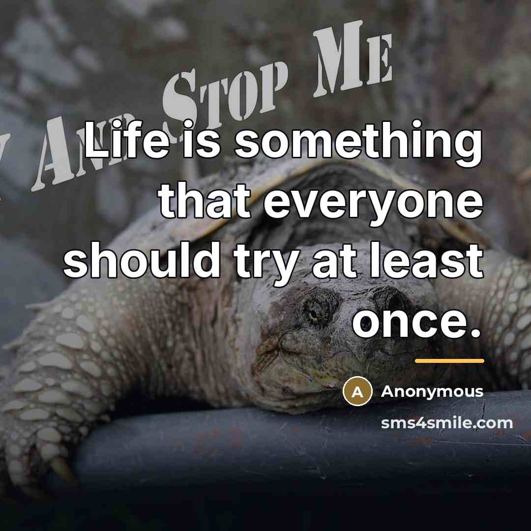 “Life is something that everyone should try at least once.…” quote by Anonymous