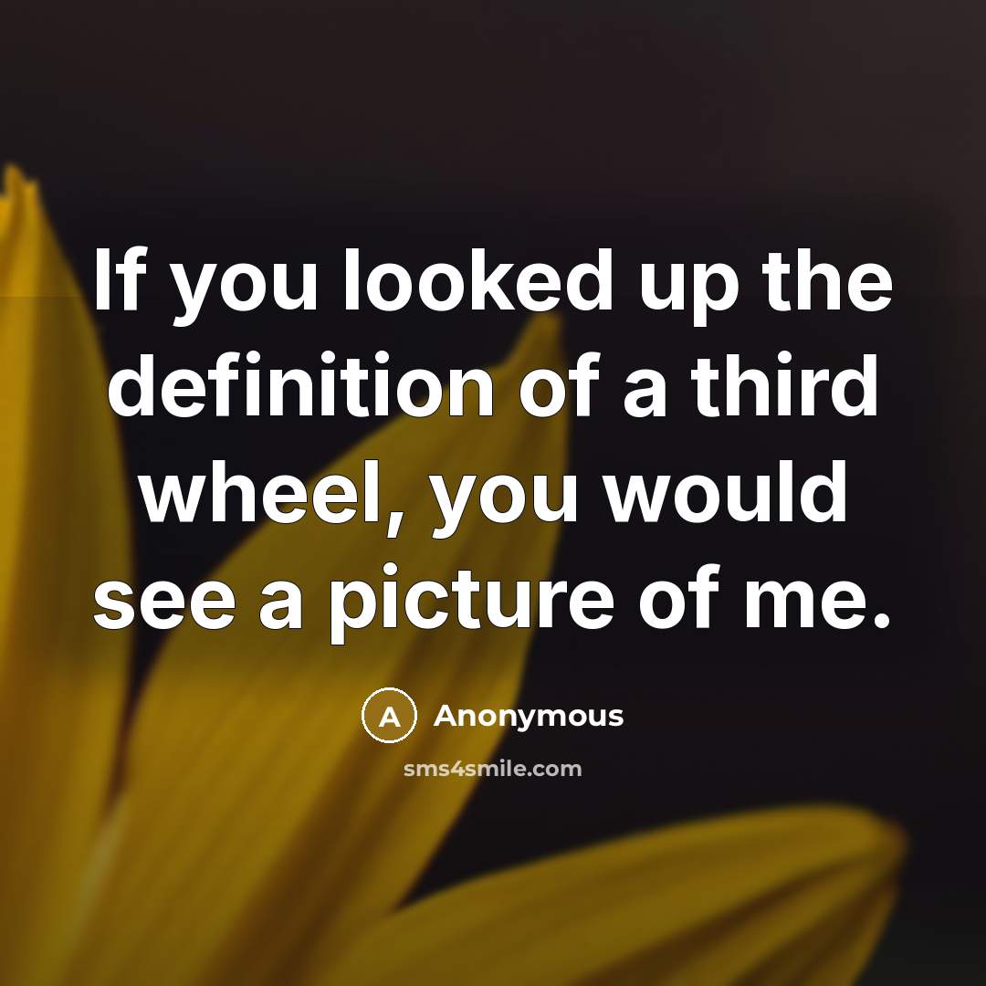 “If you looked up the definition of a third wheel,…” quote by Anonymous