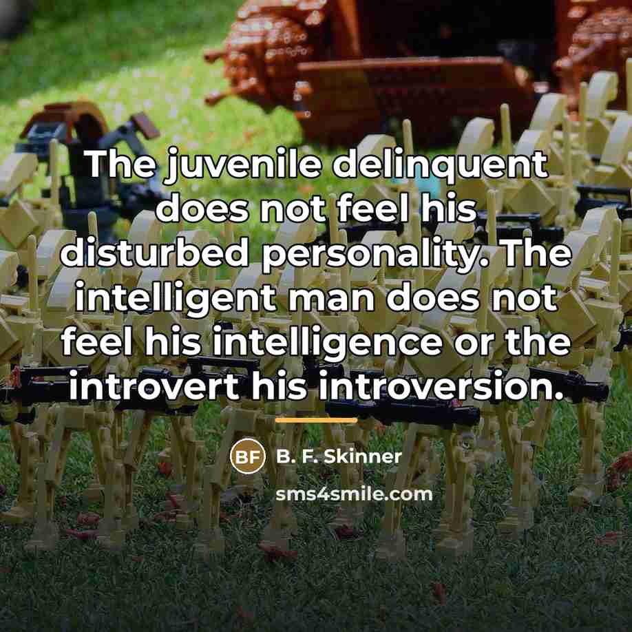 “The juvenile delinquent does not feel his disturbed personality. The…” quote by B. F. Skinner