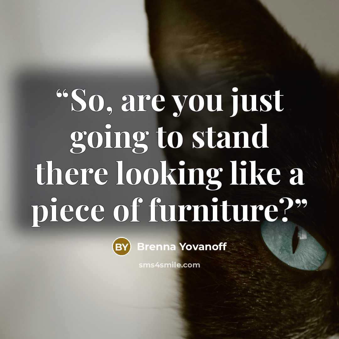 “So, are you just going to stand there looking like a piece of furniture?” quote by Brenna Yovanoff