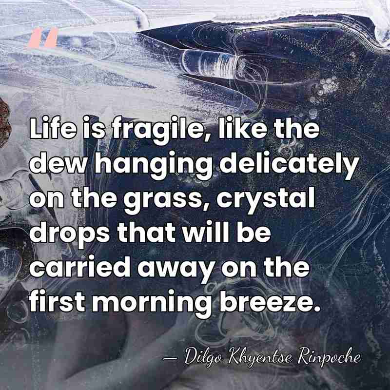 Life is fragile, like the dew hanging delicately on the grass, crystal&hellip; - Dilgo Khyentse Rinpoche