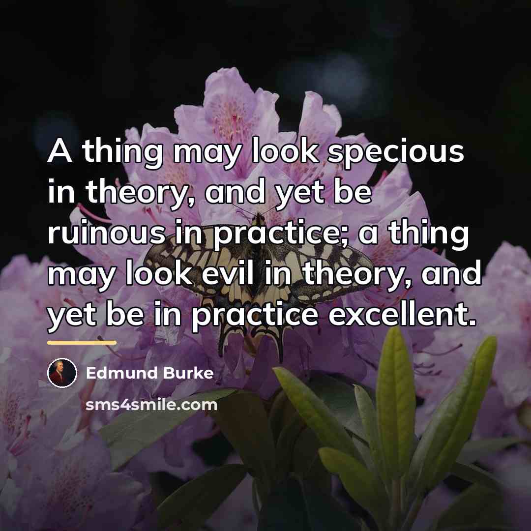 “A thing may look specious in theory, and yet be…” quote by Edmund Burke